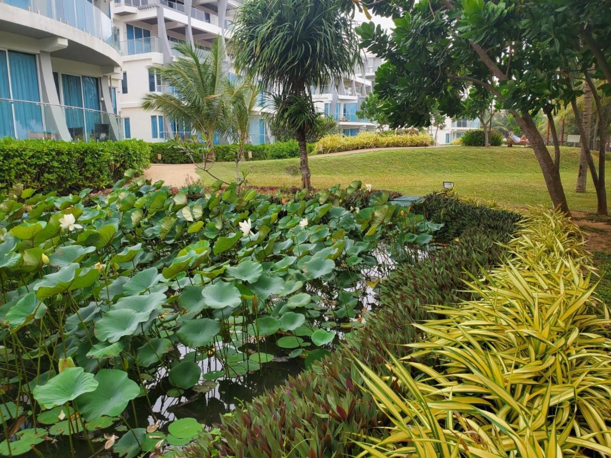 Beach Front Paradise Nilaveli Zewnętrze zdjęcie